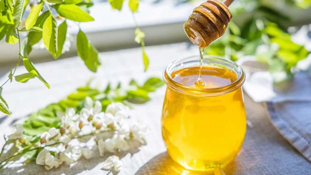 Mật ong bạc hà thường có độ ngọt nguyên chất vô cùng thanh và dịu mát Mật ong bạc hà thường có độ ngọt nguyên chất vô cùng thanh và dịu mát