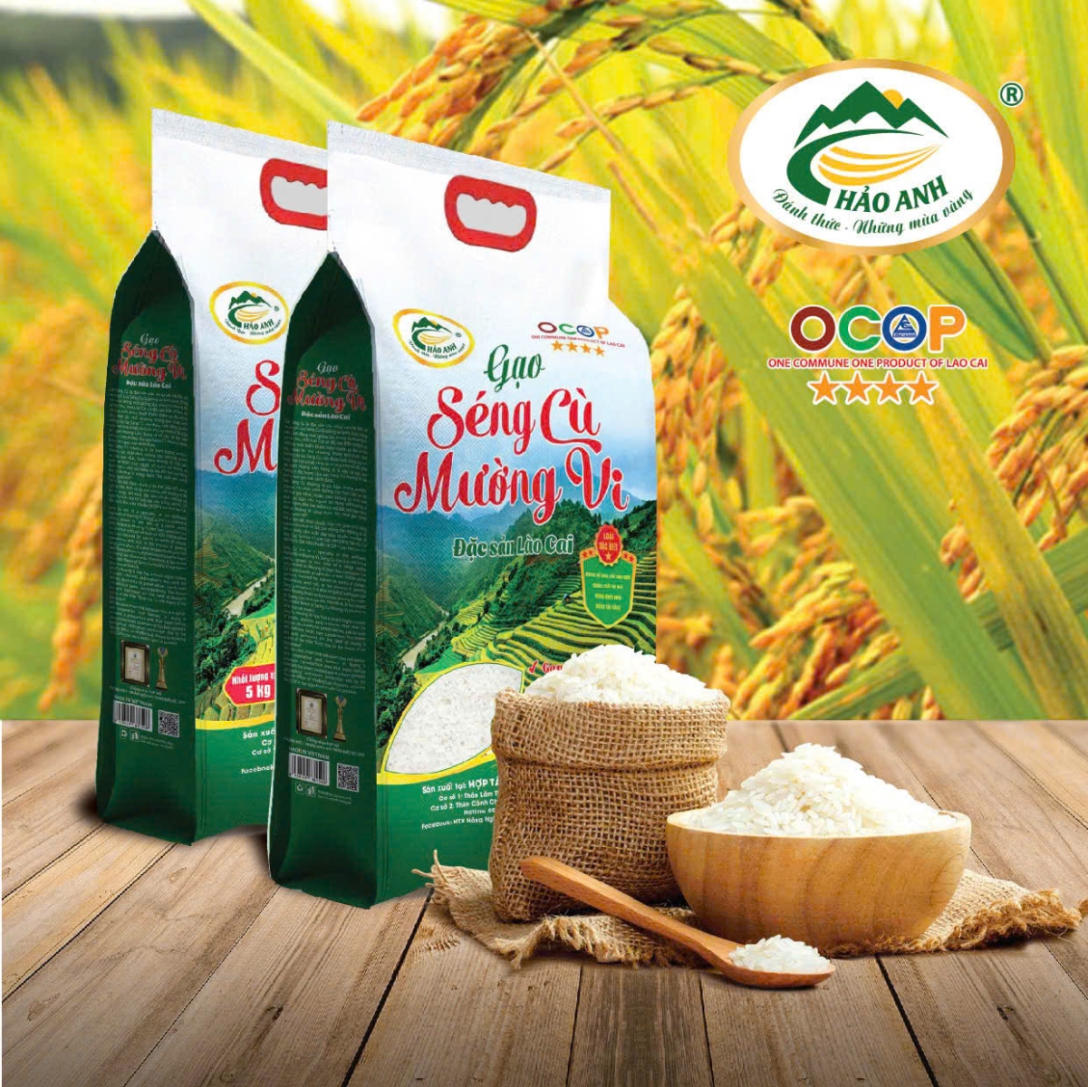 z7239838540476_4e4abfc72051843600edd34c7bea9060