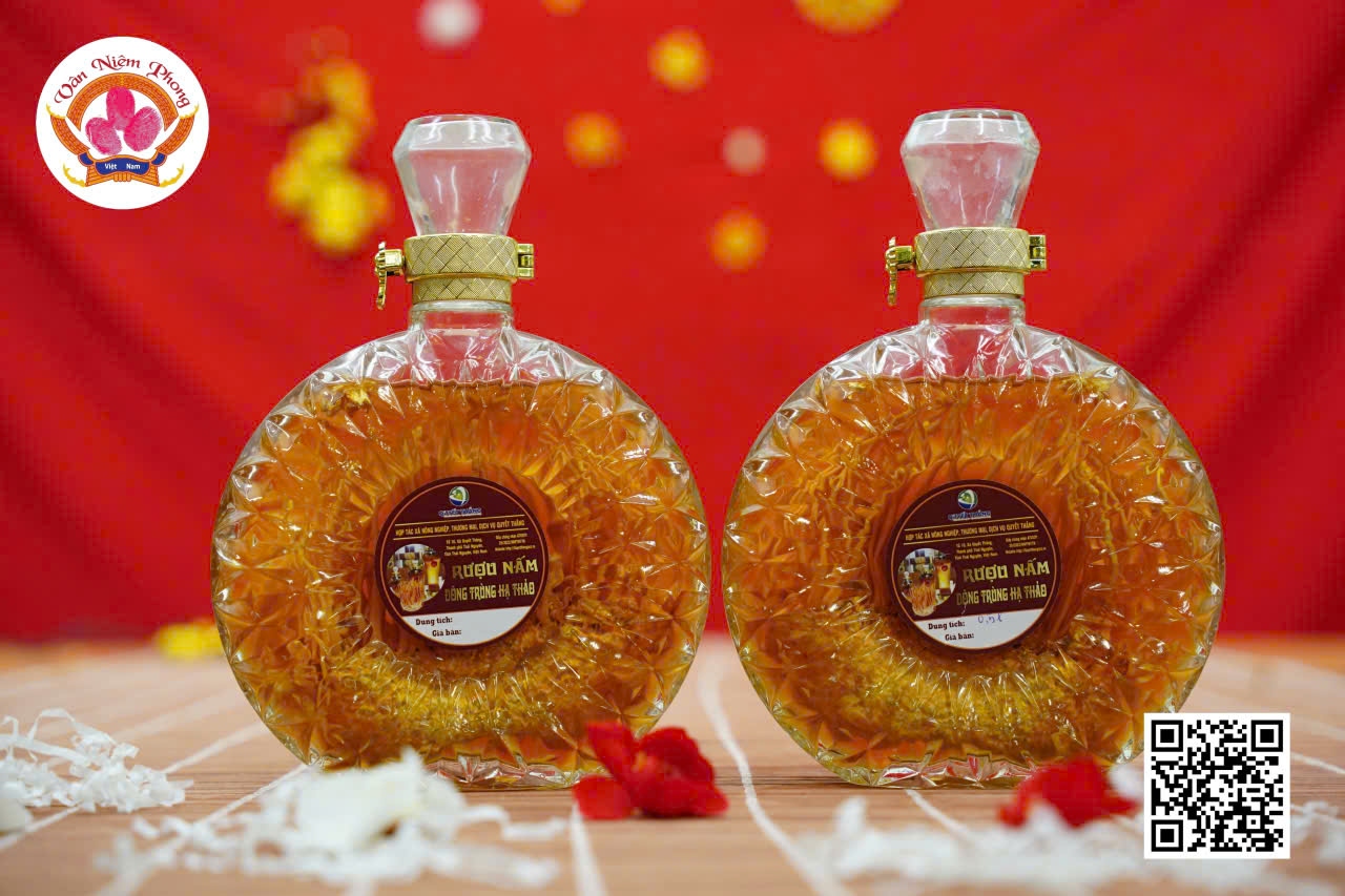 Rượu nấm đông trùng 1