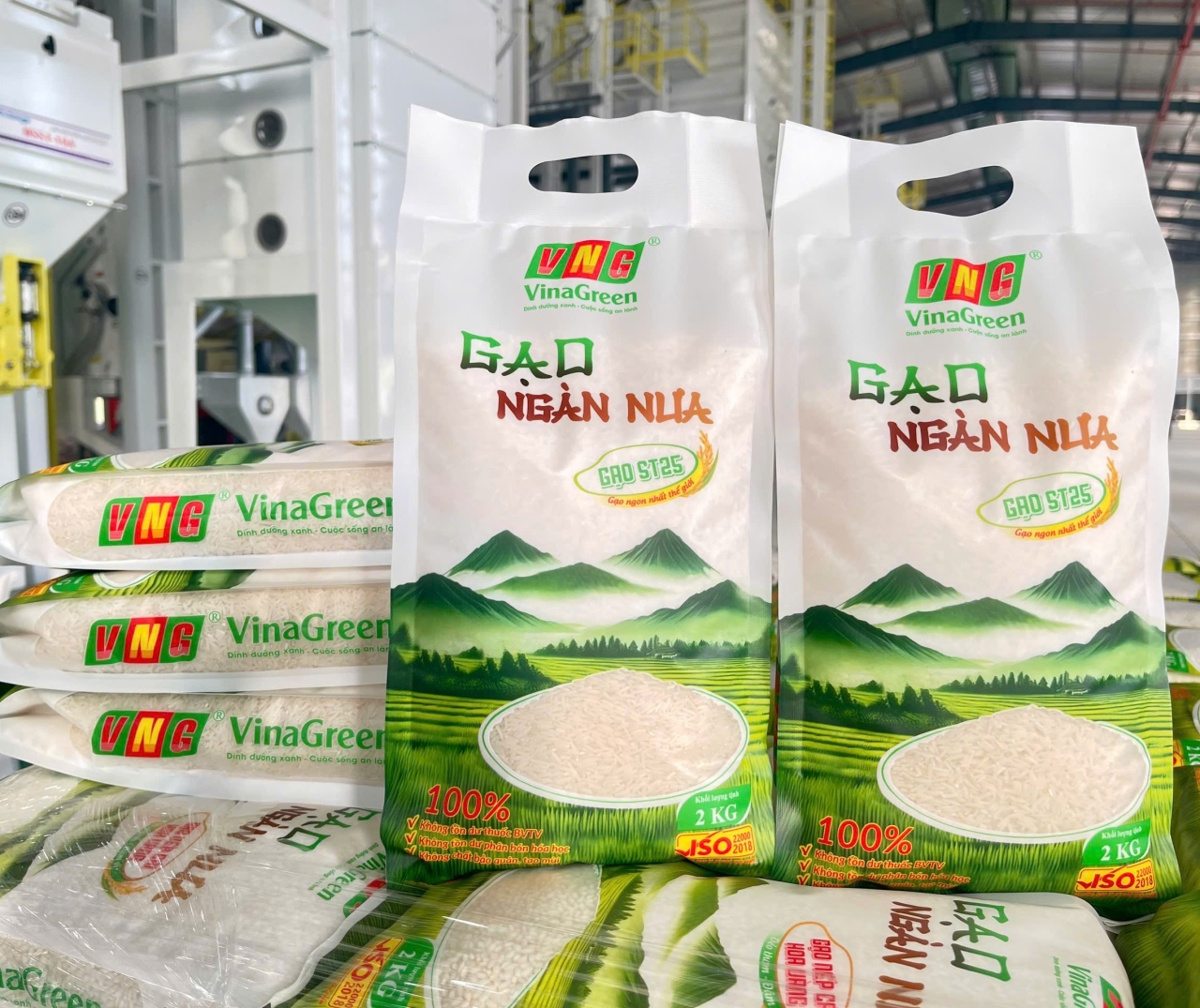 Gao-ST25-Ngan-Nua-Gao-ST25-Ngon-Chinh-Hang-VinaGreen